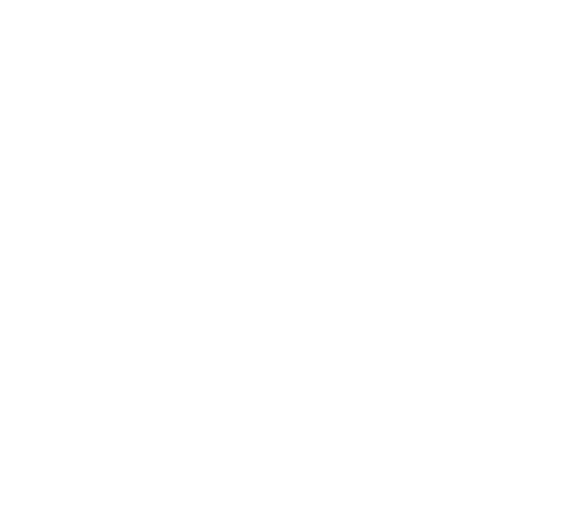 AAU Basketball